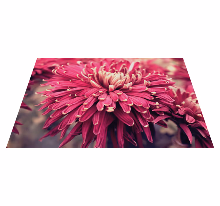 Tapete vinílico flores e plantas crisântemo realista - TenStickers