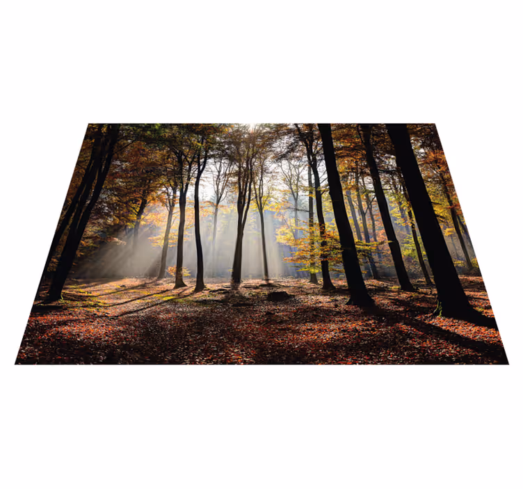 Tapete vinílico da natureza tranquilidade da floresta - TenStickers