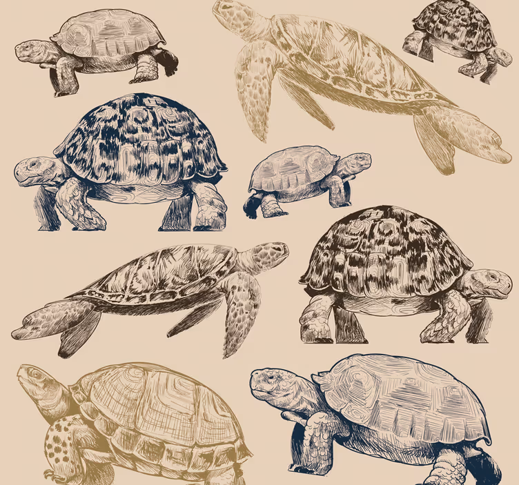 papel de parede animais coleção de tartarugas - TenStickers