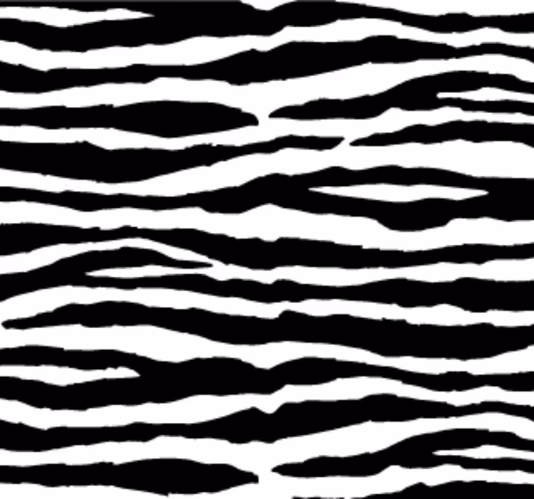Papel de parede animais listras de zebra - TenStickers