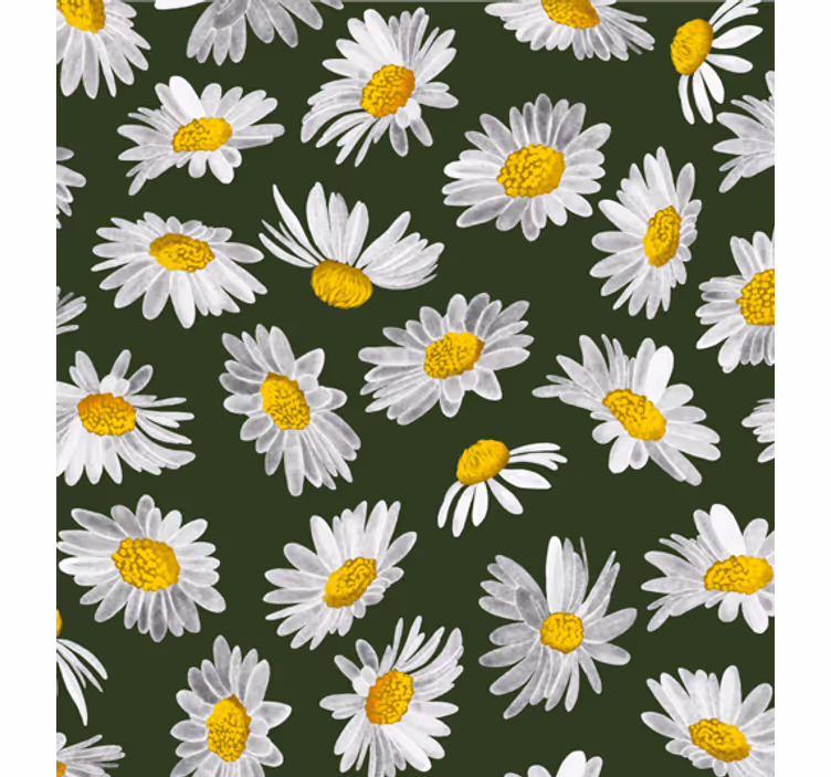 Papel de parede natureza campo de margaridas - TenStickers