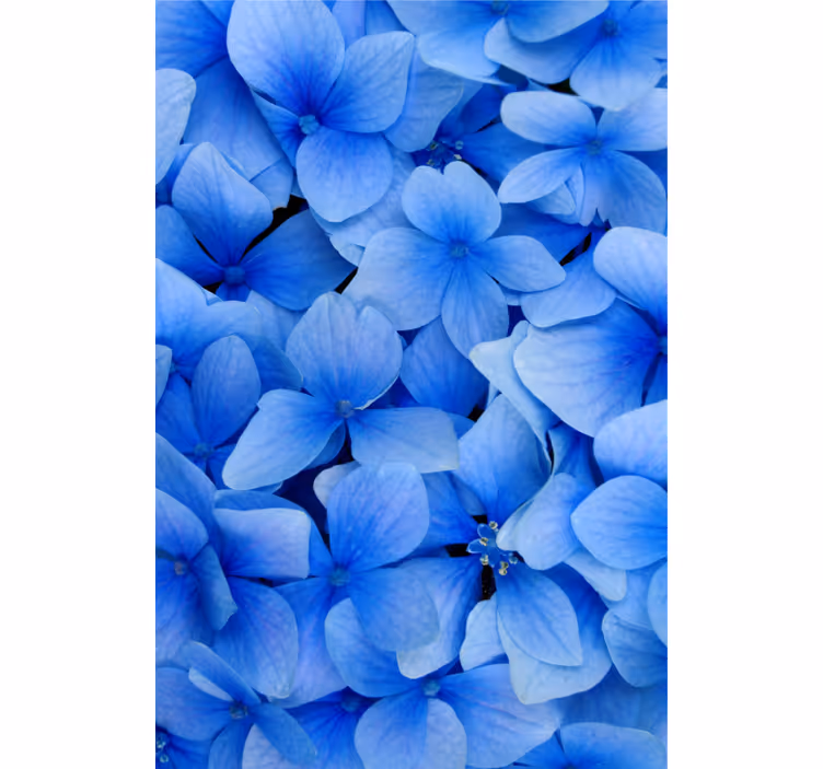 Papel de parede para sala padrão pétalas de hortênsia - TenStickers