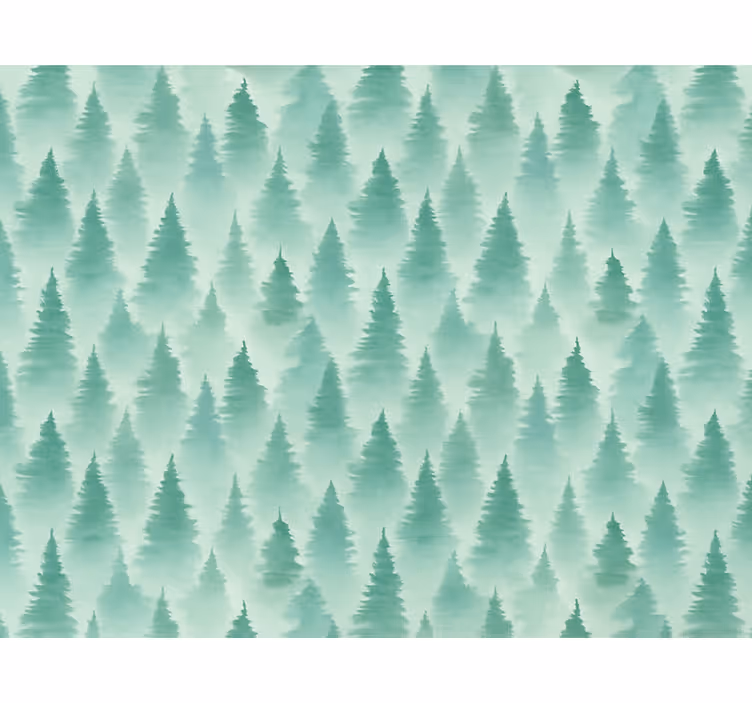 Papel de parede paisagem floresta de pinheiros nebulosa - TenStickers