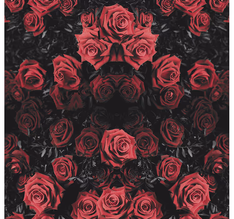 Papel de parede flores rosas vermelhas lindas - TenStickers