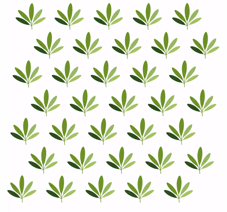 Papel de parede folhas palma doce - TenStickers