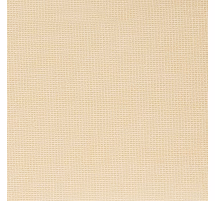 Papel de parede beje cor camelo translúcido - TenStickers