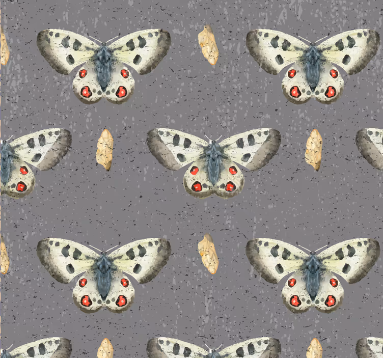 papel de parede betão concreto com borboletas - TenStickers