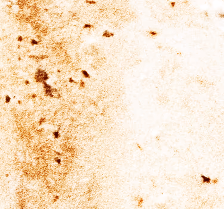 papel de parede mármore Textura macia de mármore - TenStickers