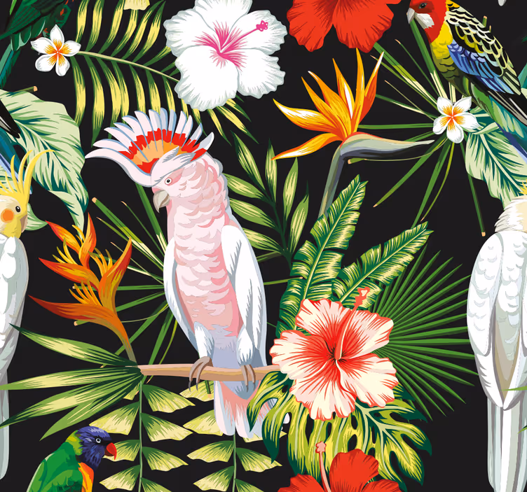 papel de parede de animais Papagaios de cor brilhante - TenStickers