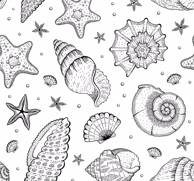 papel de parede de animais Vida marinha e conchas preto branco - TenStickers
