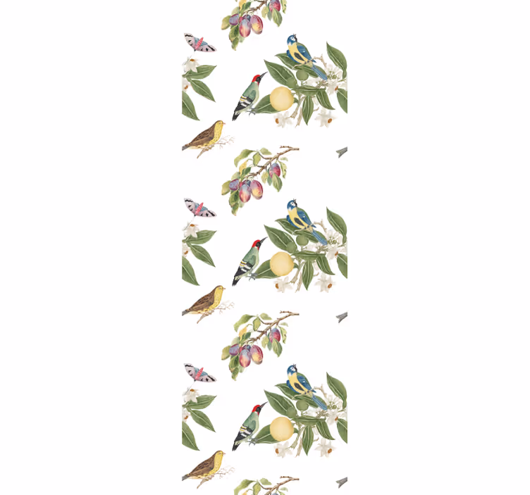 Papel de parede pássaros paraíso colorido - TenStickers