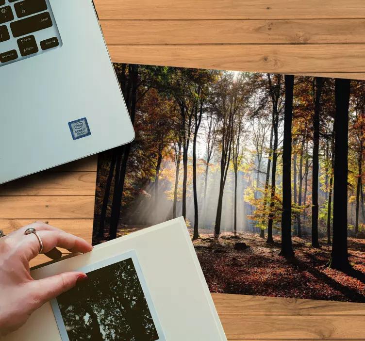 Mouse pad originais cena de floresta serena - TenStickers