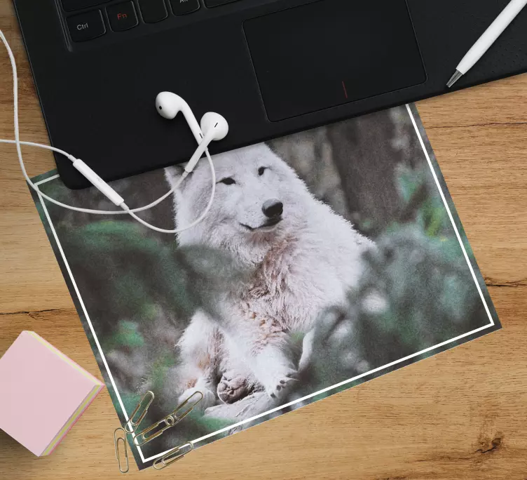 Mouse pad originais lobo Ártico serenidade - TenStickers