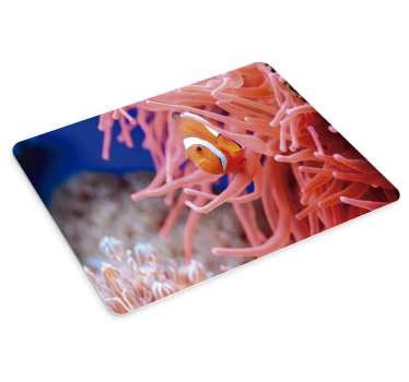 Mouse pad xxl peixe-palhaço entre anêmonas - TenStickers