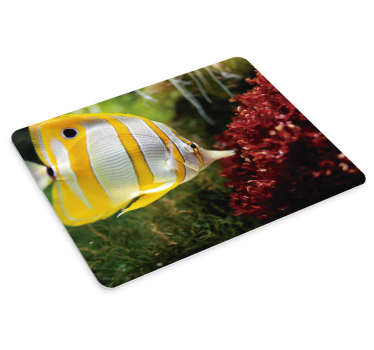 Mouse pad xxl cena de peixes coloridos - TenStickers
