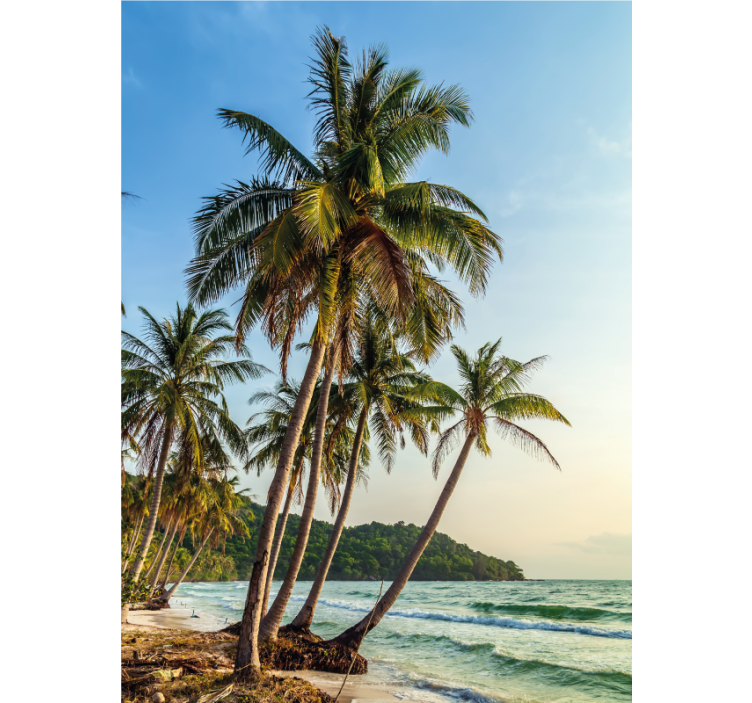 Estore de rolo casa de banho palmeiras na praia - TenStickers