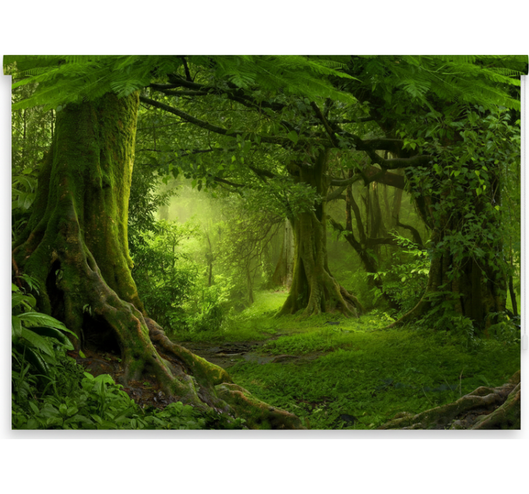 Estores de rolo de árvores refúgio florestal luxuriante - TenStickers