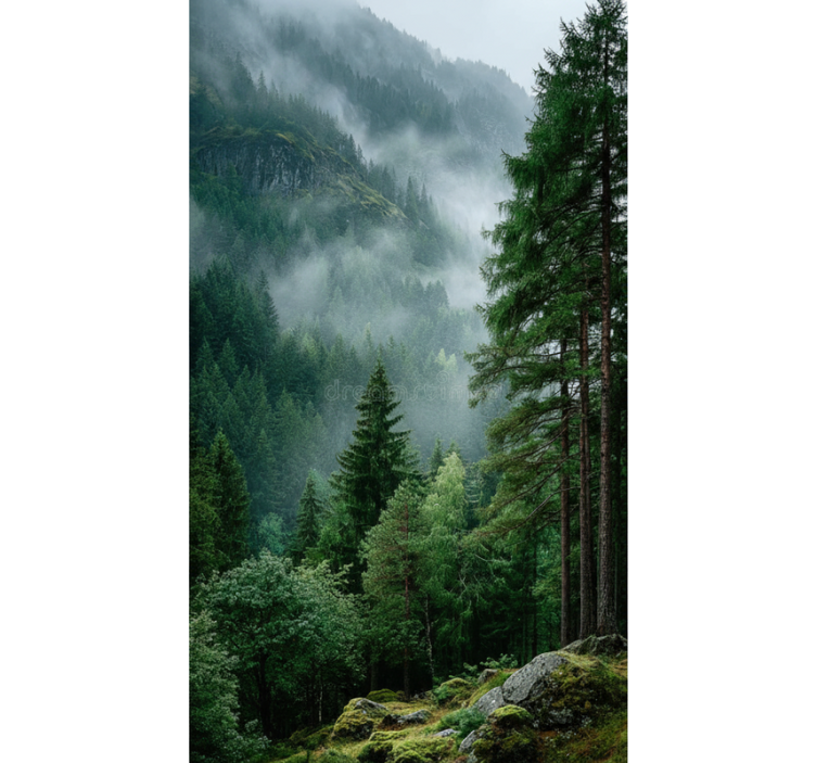 Estores de rolo de árvores a escolha sombria - TenStickers