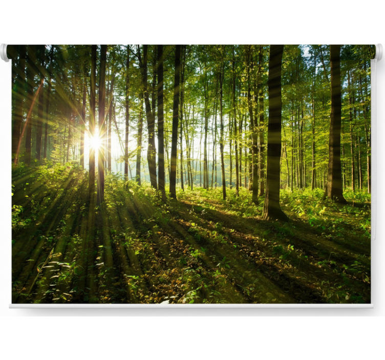 Estores de rolo de árvores bosques do sol dourado - TenStickers