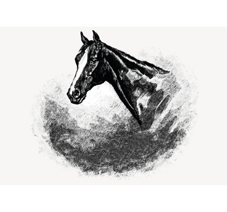 Estore de rolo branco cavalos de grafite - TenStickers