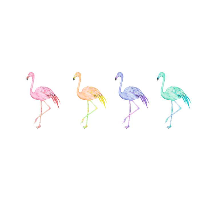 Estore de rolo branco flamingos coloridos sem emenda - TenStickers
