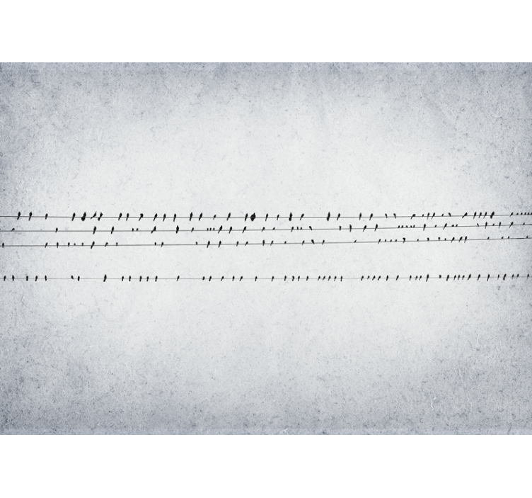 Estore de rolo branco concerto de pássaros em linhas - TenStickers