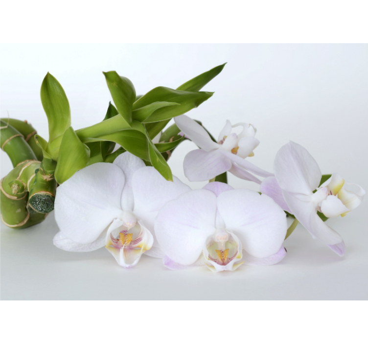 Estore de rolo branco orquídea verde e branca - TenStickers