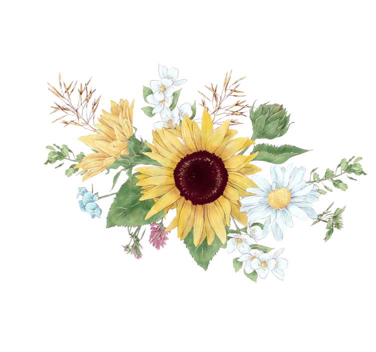 Estore de rolo branco girassóis e flores de margarida - TenStickers