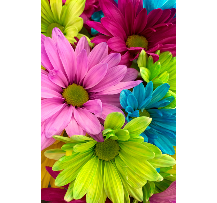 Estore de rolo para sala flores coloridas - TenStickers