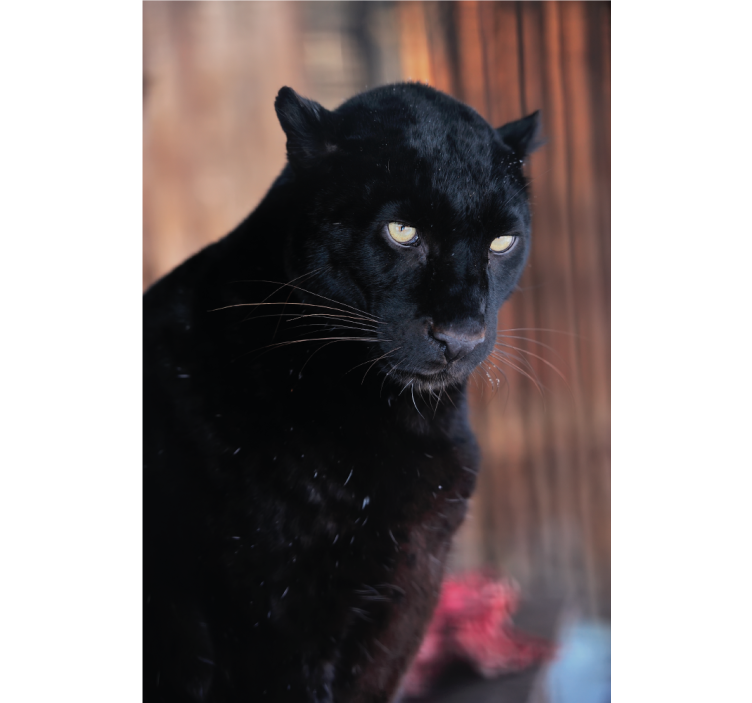 Estore de rolo para sala leopardo à espreita - TenStickers