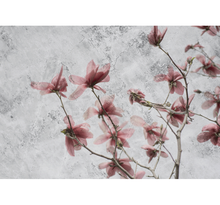 Estore de rolo para sala design magnólia glamouroso - TenStickers