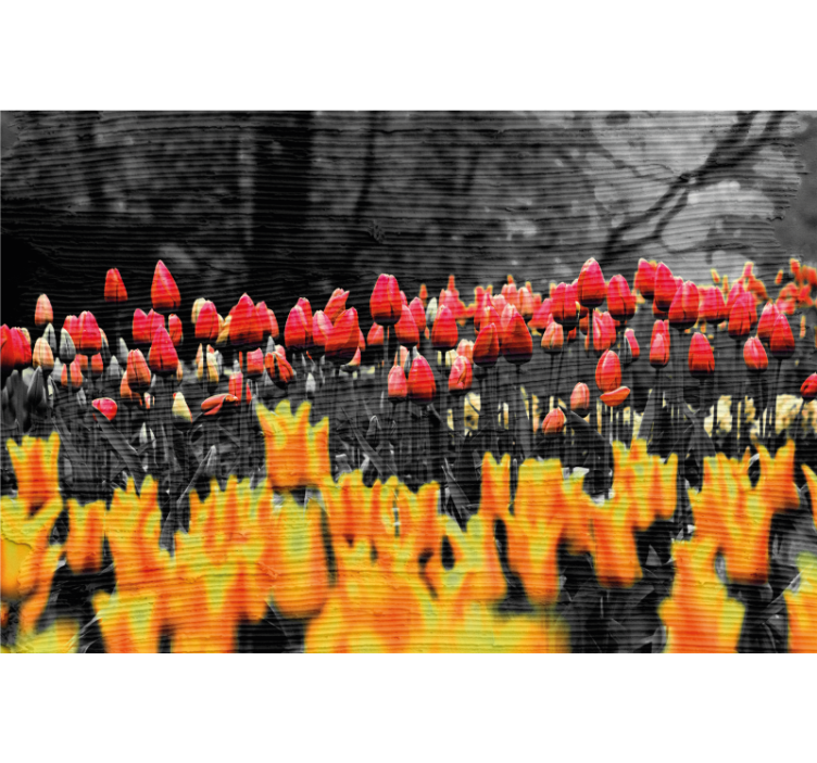 Estore de rolo para sala campos de flores diferentes - TenStickers