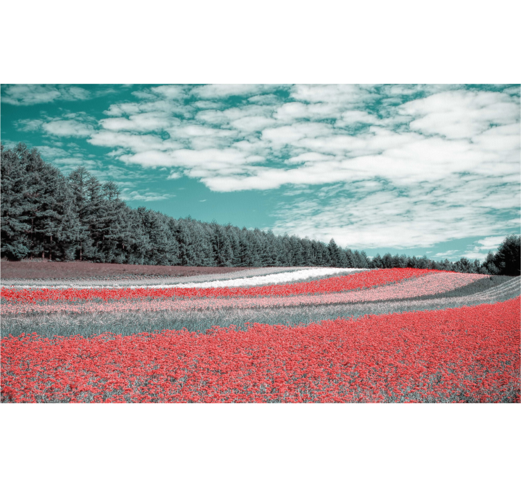 Estore de rolo para sala campo de flores diferentes - TenStickers