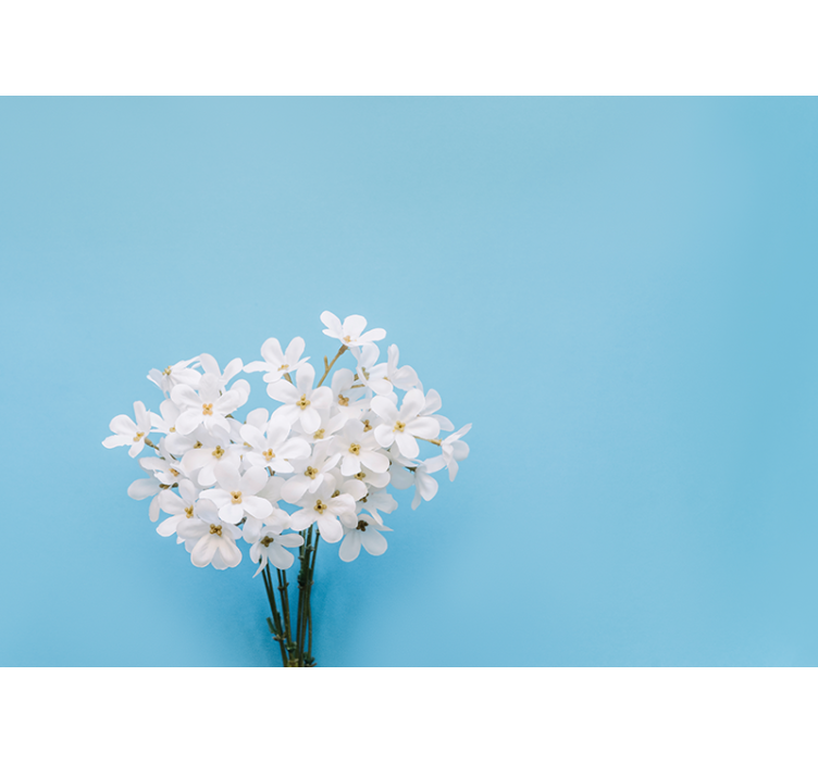 Estore de rolo azul fundo azul jazmin - TenStickers