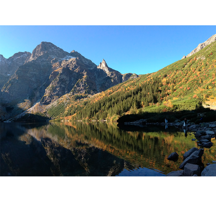 Estore de rolo verdes morskie oko na primavera - TenStickers