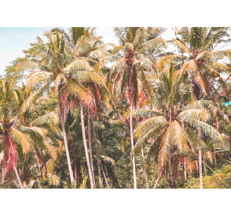 Estore de rolo para sala palmeira verde na selva - TenStickers