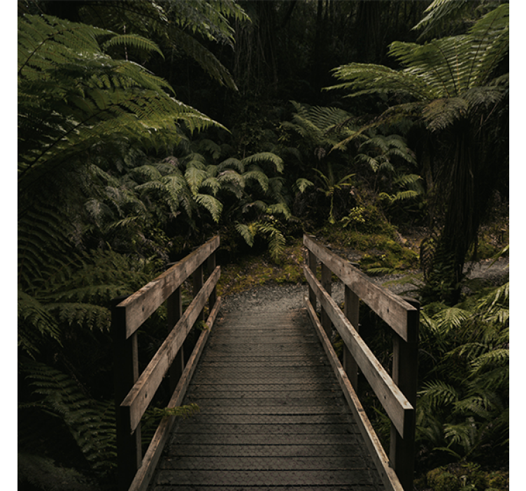 Estore de rolo para sala ponte "nature" na floresta - TenStickers