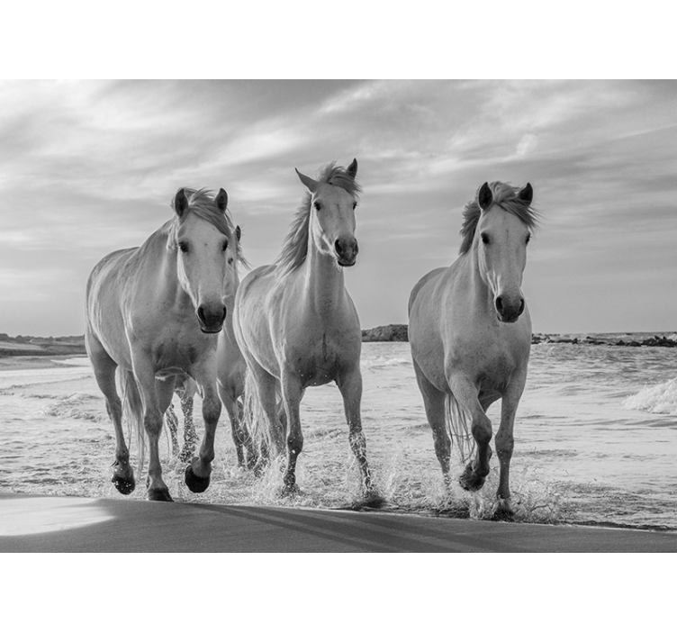 Estore de rolo branco cavalos correndo - TenStickers