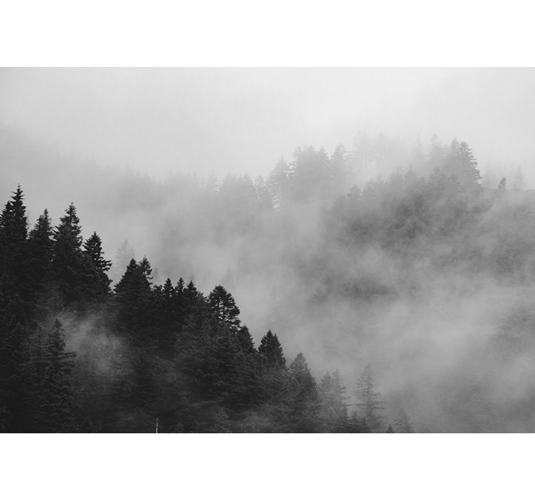 Estore de rolo cinzento floresta nevoenta em preto e branco - TenStickers