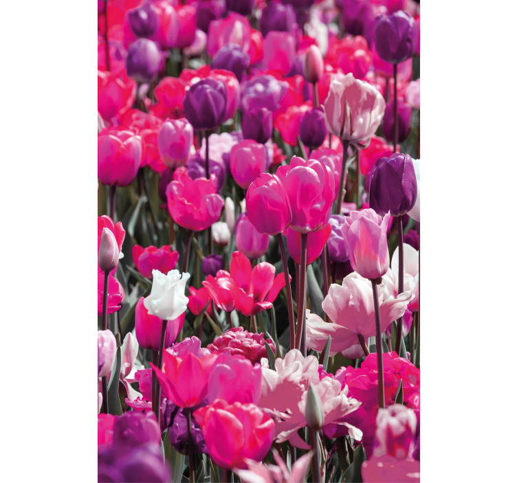 Estore de rolo flores e plantas flores de tulipa roxa - TenStickers