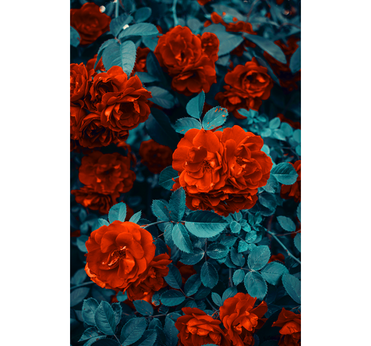 Estore de rolo flores e plantas rosas vibrantes florescendo - TenStickers