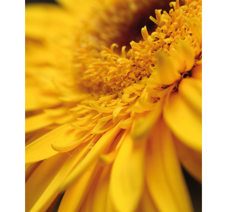 Estore de rolo flores e plantas close-up amarelo - TenStickers