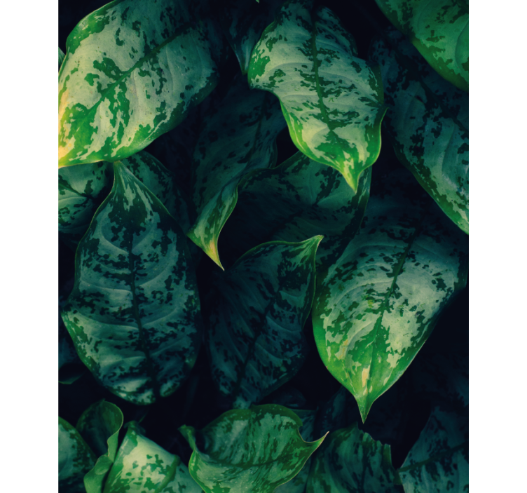 Estore de rolo flores e plantas folhas verdes vibrantes - TenStickers