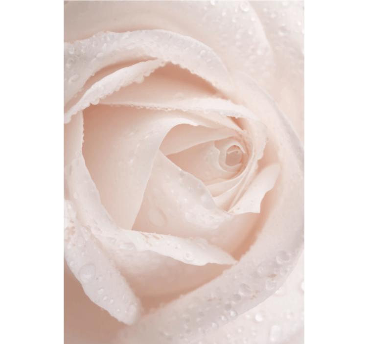 Estore de rolo florais pétala de rosa delicada - TenStickers