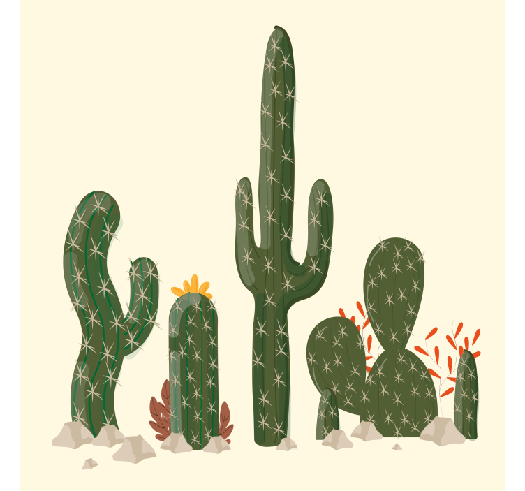 Estores de rolo cactos plantas grandes - TenStickers