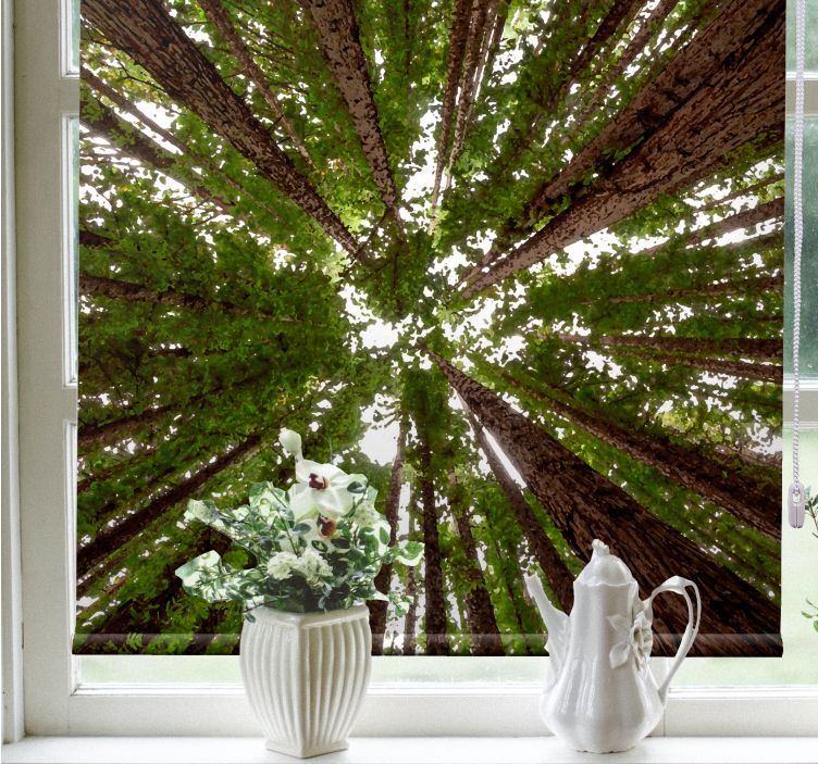 Estores de rolo de árvores design de copa alta - TenStickers