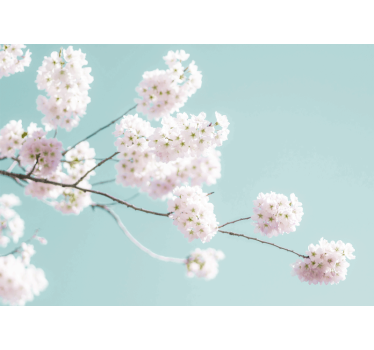 Estore de rolo para cozinha design floral branco elegante - TenStickers