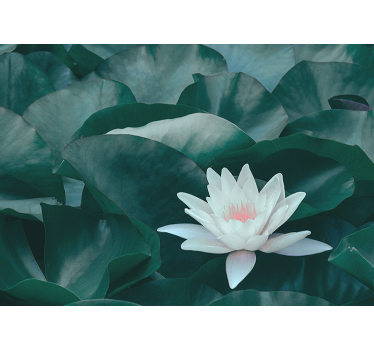 Estore de rolo para cozinha flor de lótus branca zen - TenStickers