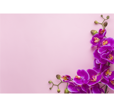 Estore de rolo para cozinha fundo rosa com orquídeas - TenStickers
