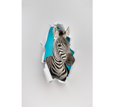 Zebra animal estor - TenStickers